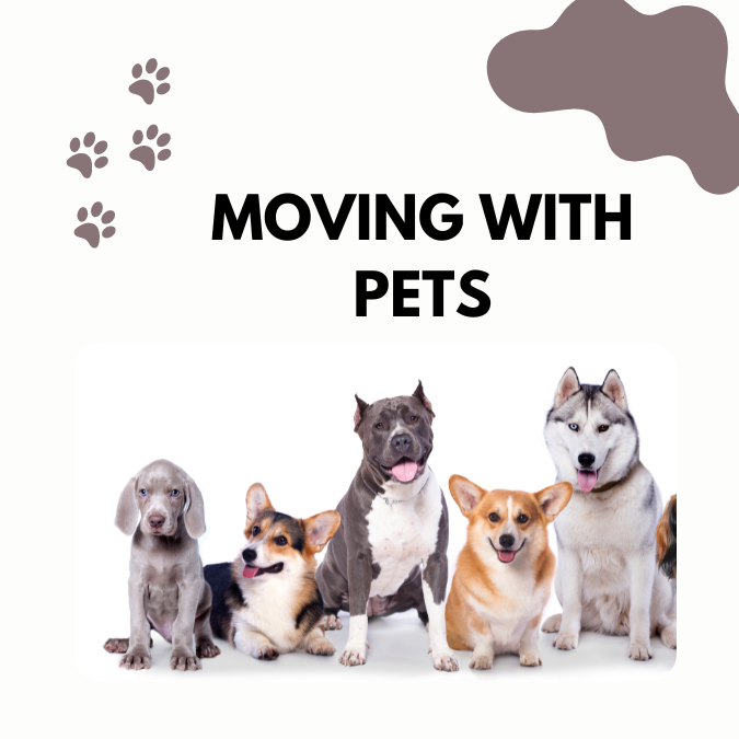 Moving with Pets Nashville